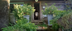 vente Maison Juillac