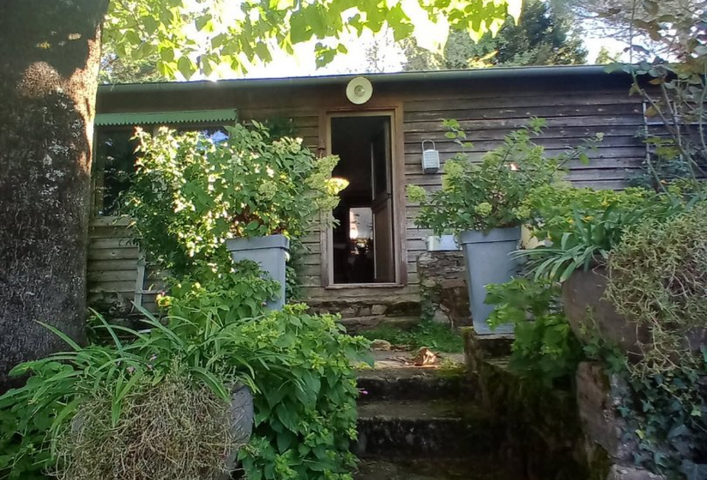 vente Maison Juillac - Photo 5