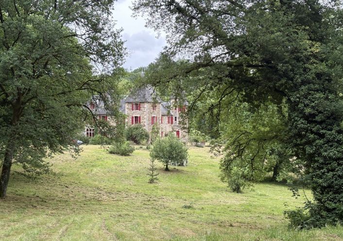 à vendre Maison Lagrauliere