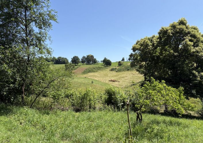 à vendre Maison Saint Hilaire Peyroux