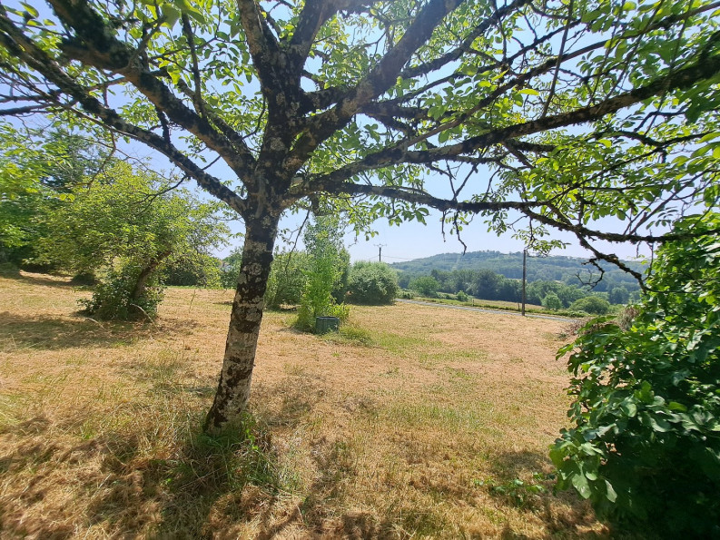 vente Maison Segonzac - Photo 4