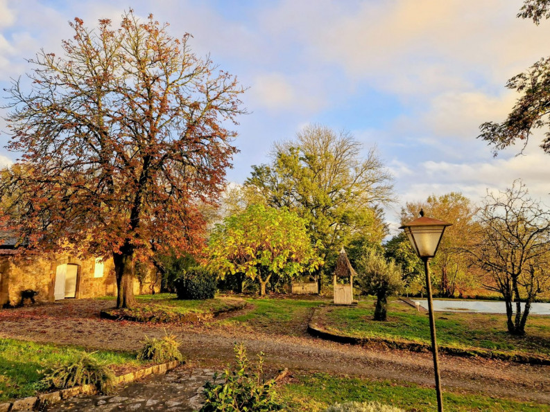 vente Maison Juillac - Photo 9