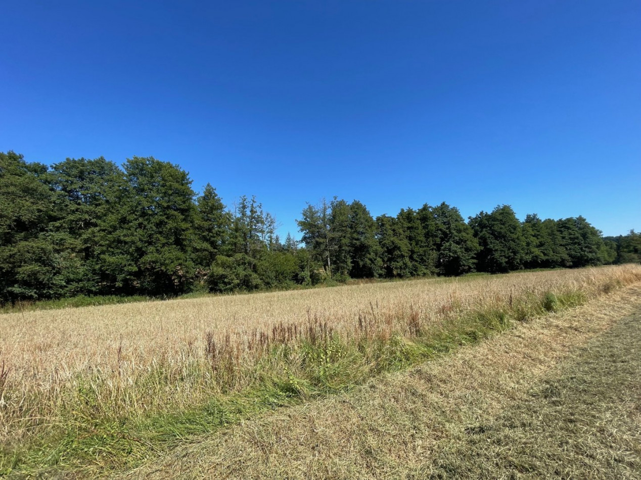 à vendre Corps de ferme Villac - Photo 19