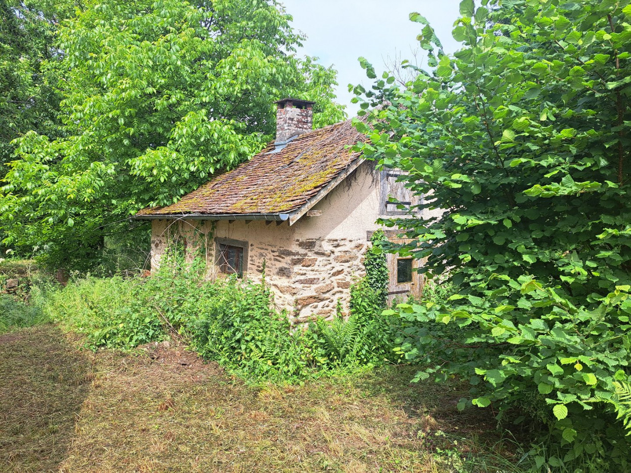 à vendre Maison Saint Sornin Lavolps - Photo 5