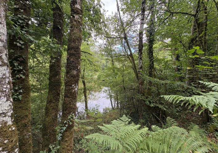 à vendre Terrain constructible Juillac