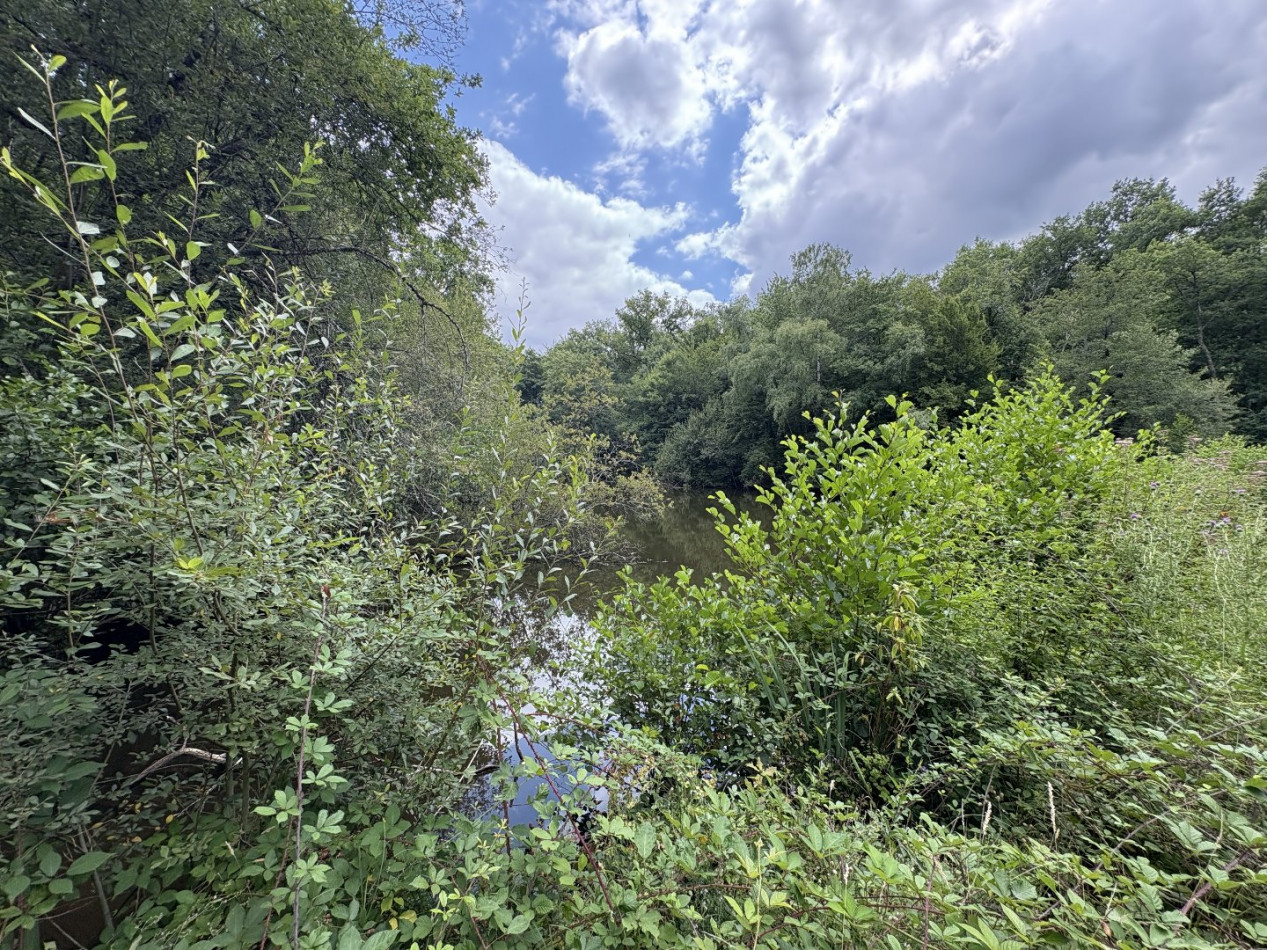 à vendre Terrain constructible Juillac - Photo 9