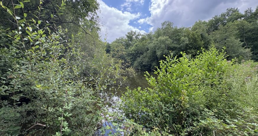 vente Terrain constructible Juillac