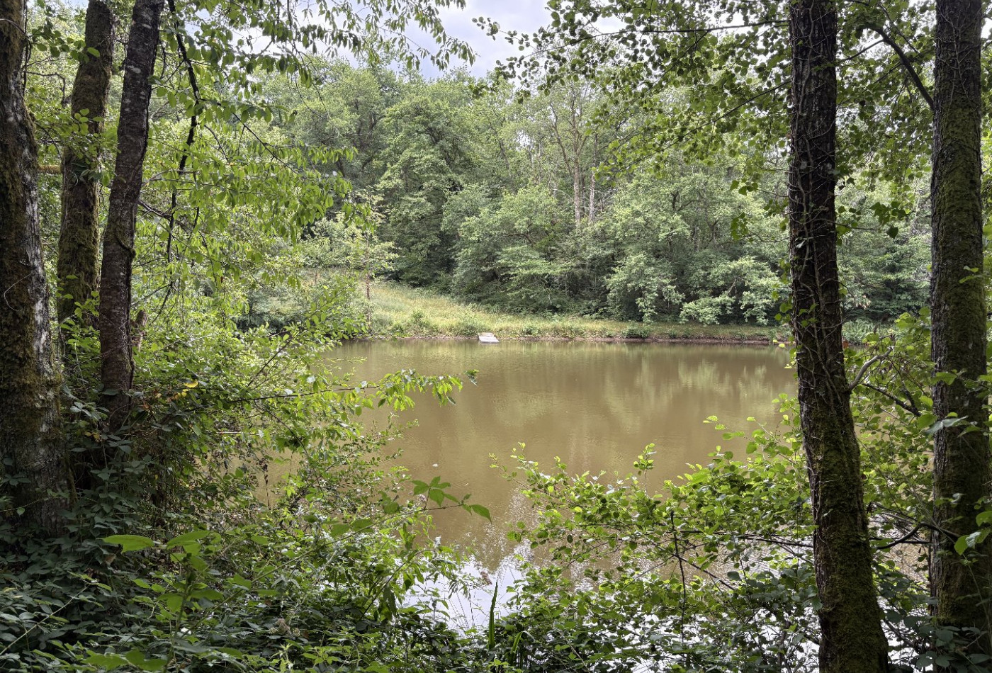 vente Terrain constructible Juillac - Photo 10