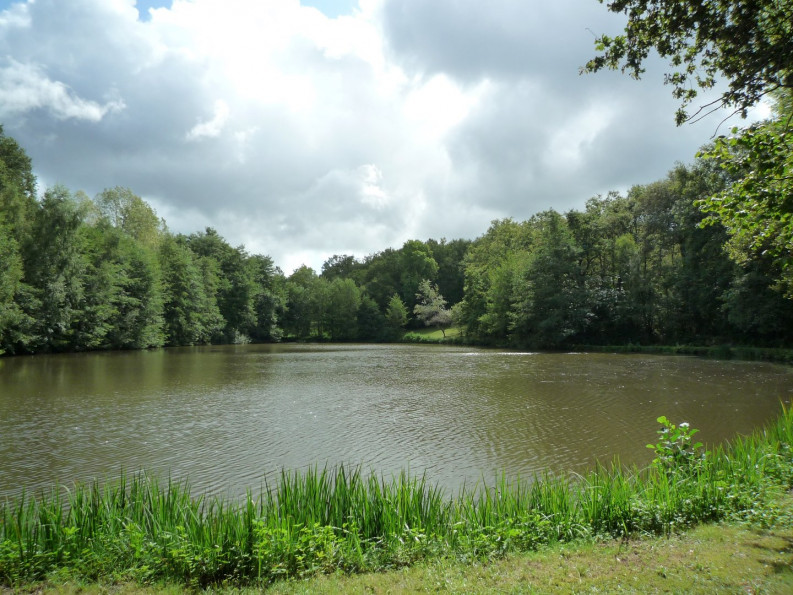 vente Terrain constructible Juillac - Photo 2