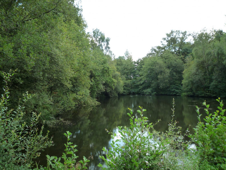 vente Terrain constructible Juillac - Photo 3