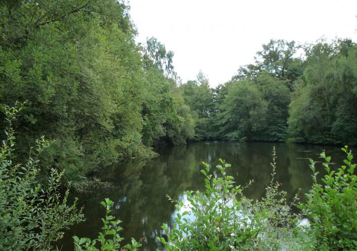 à vendre Terrain constructible Juillac