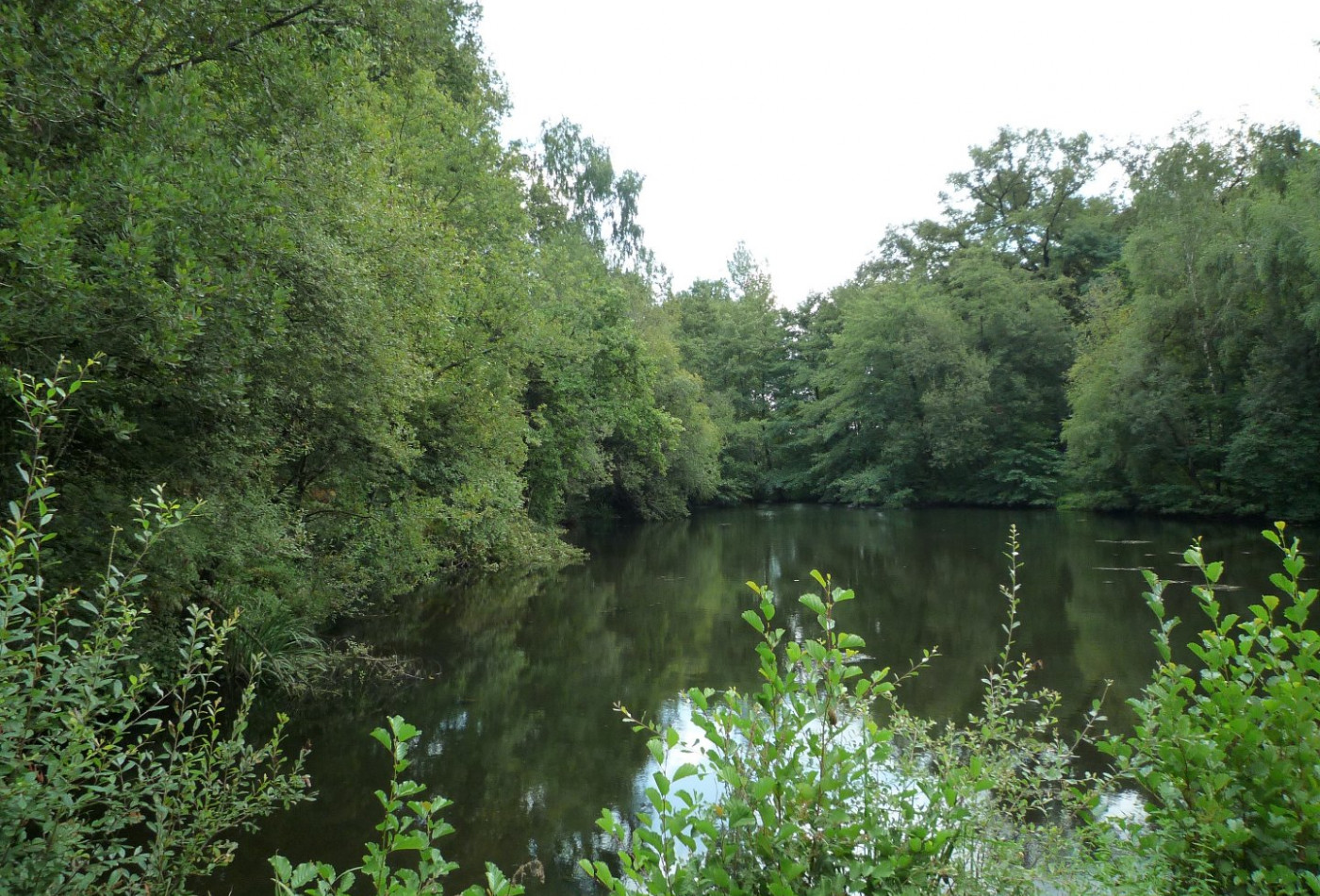 vente Terrain constructible Juillac - Photo 3