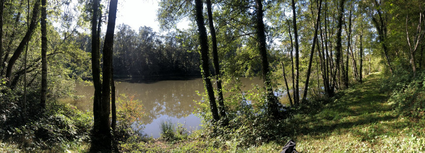 vente Terrain constructible Juillac - Photo 5