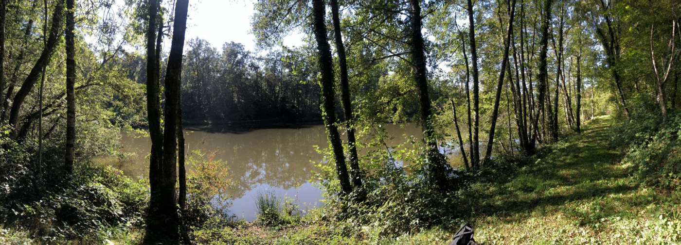 à vendre Terrain constructible Juillac - Photo 5