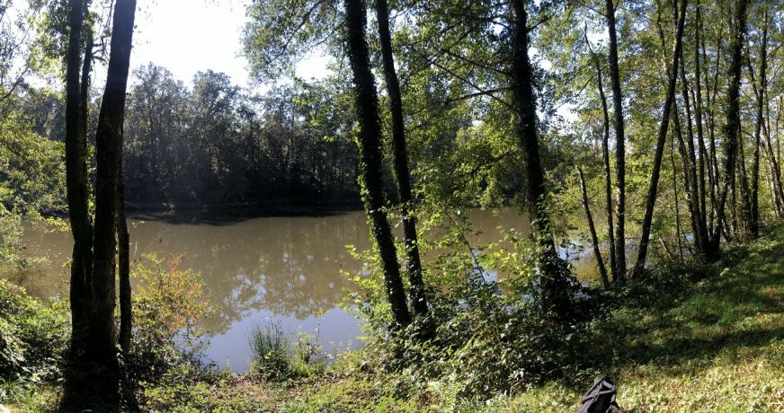 vente Terrain constructible Juillac