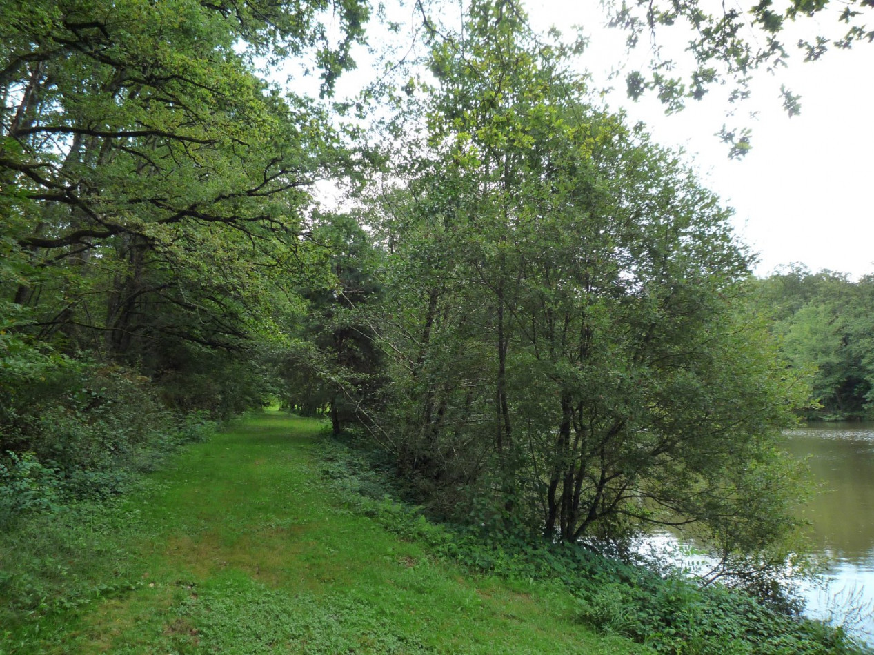 à vendre Terrain constructible Juillac - Photo 6