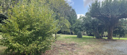 vente Maison Lanouaille