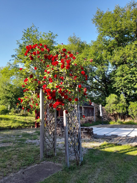 vente Maison Louignac - Photo 4