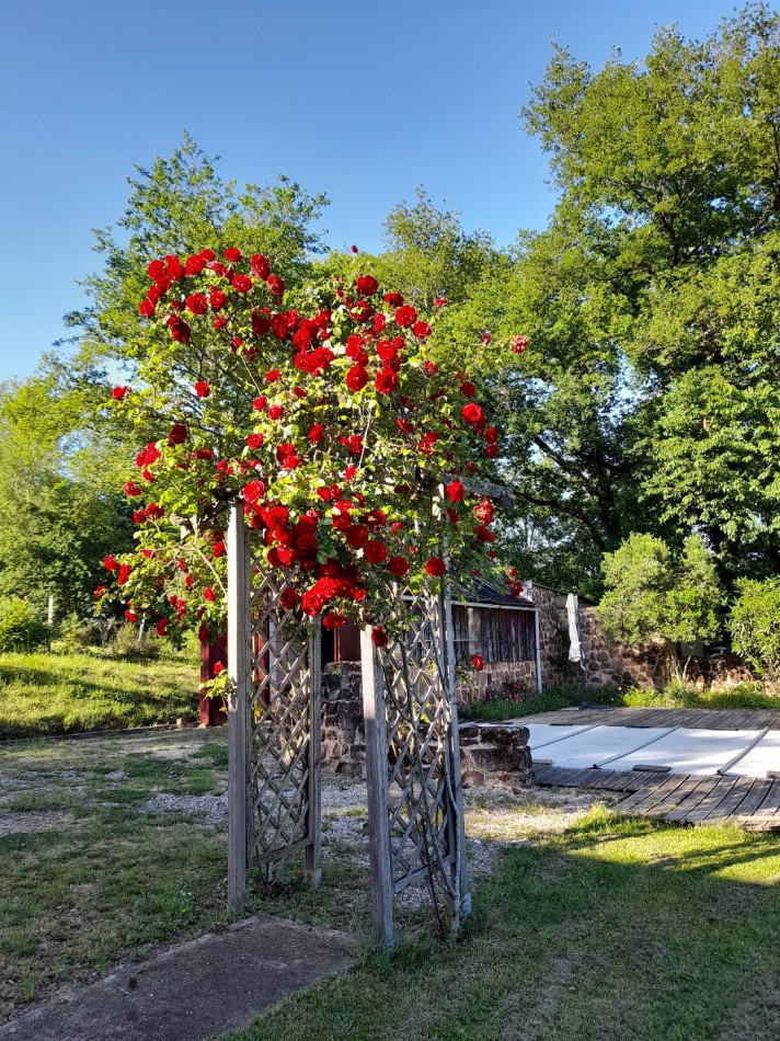à vendre Maison Louignac - Photo 4