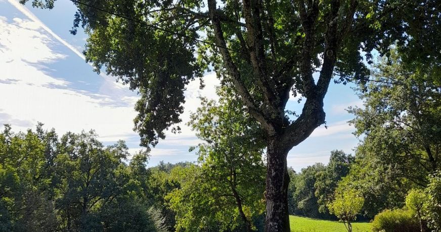 vente Maison Louignac