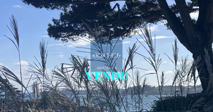 vente Maison Ile De Brehat