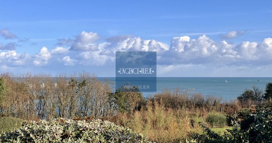 vente Maison Etables Sur Mer