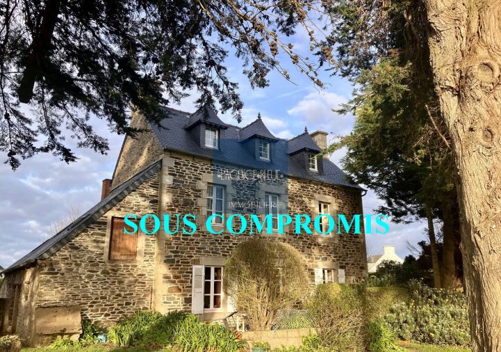 à vendre Maison Lezardrieux