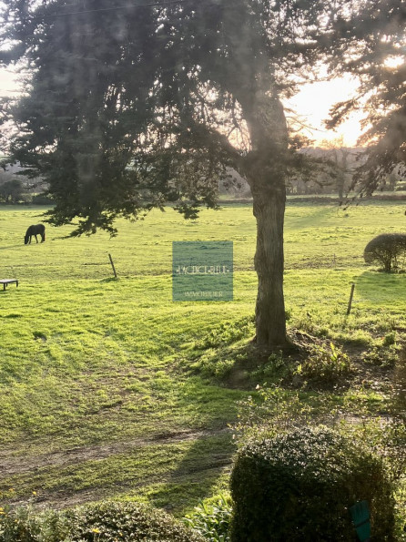 à vendre Maison Lezardrieux - Photo 11