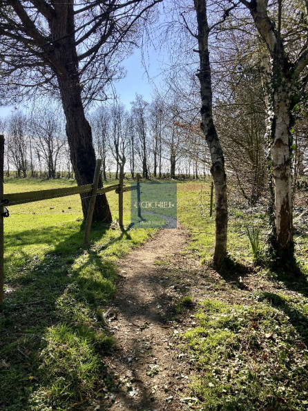 à vendre Maison de campagne Loudeac - Photo 16