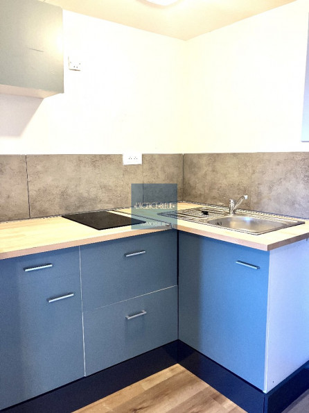 à vendre Maison Saint Brieuc - Photo 18