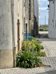vente Maison Saint Quay Portrieux