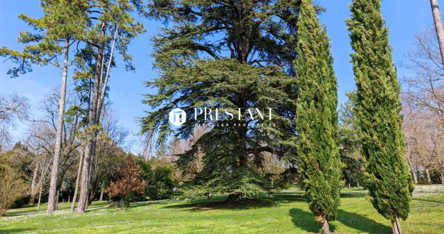 vente Maison de maître Cognac