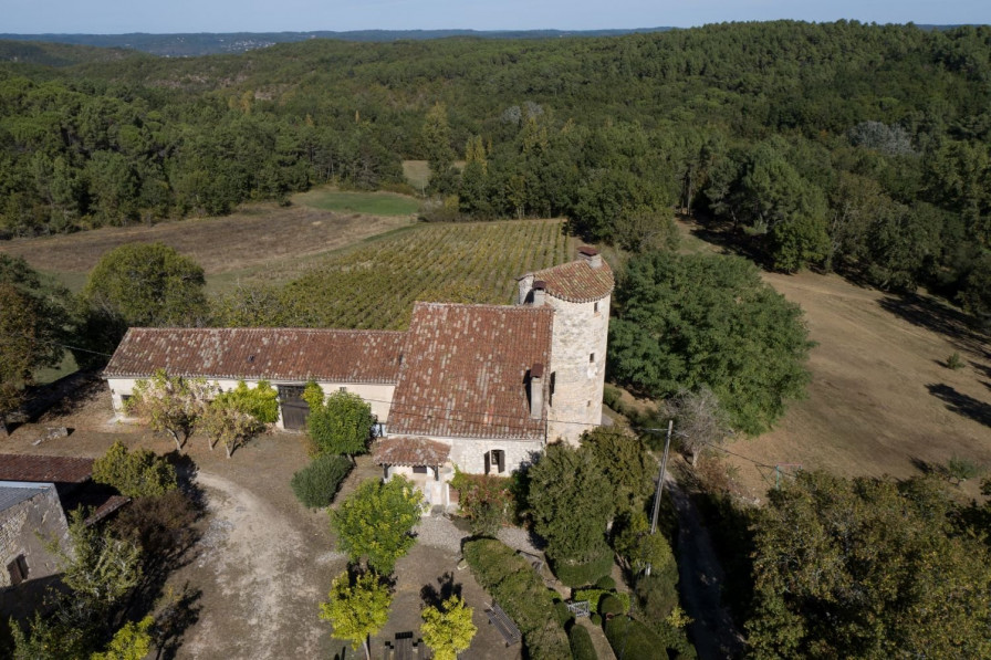 vente Chteau Puy L'eveque