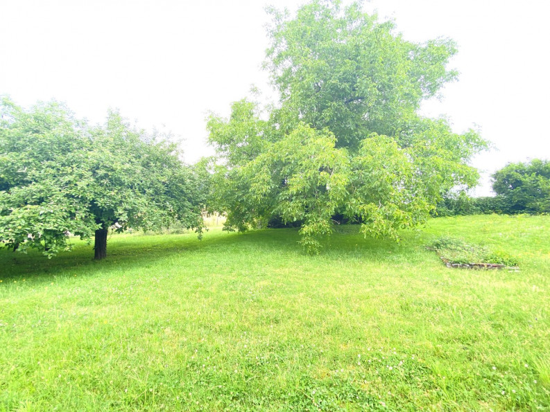 vente Maison Dasle - Photo 3