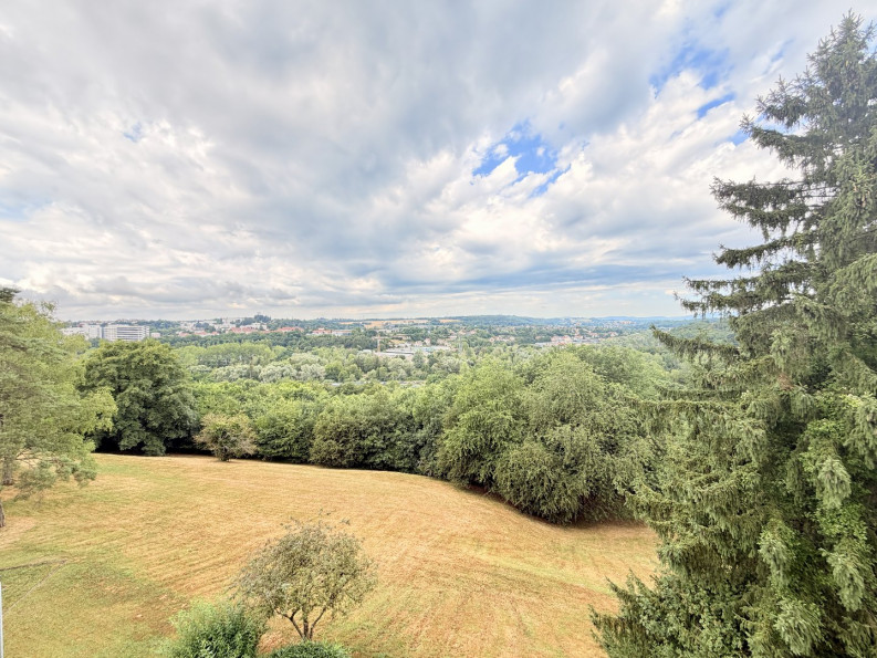 vente Appartement Montbeliard - Photo 1