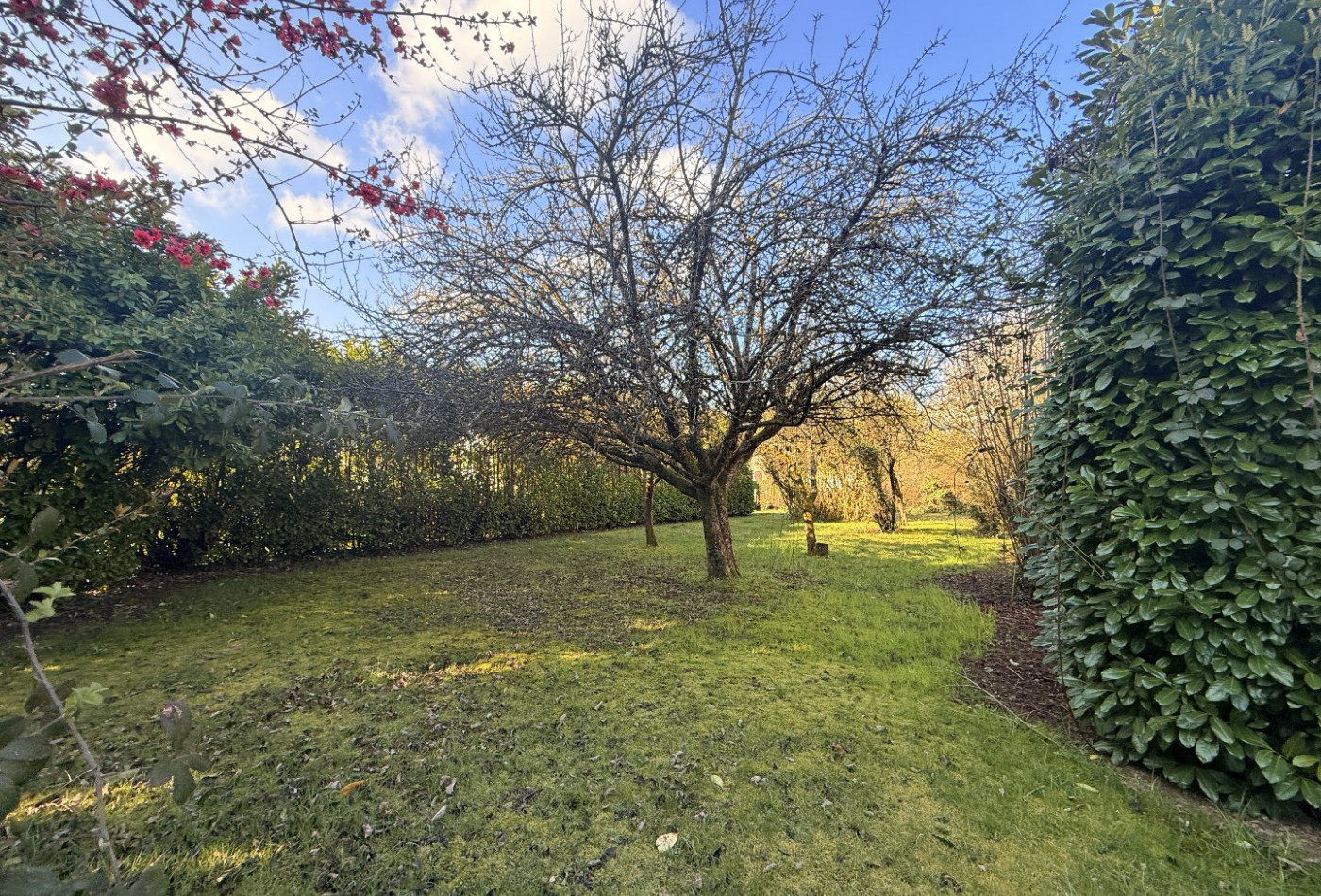 vente Maison Voujeaucourt - Photo 2