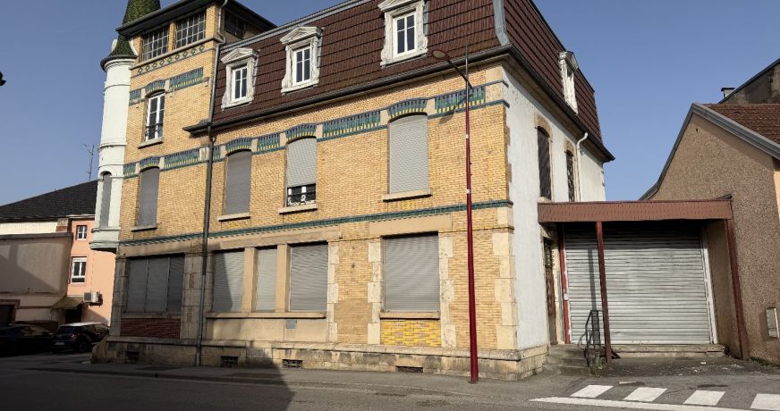 vente Immeuble L'isle Sur Le Doubs