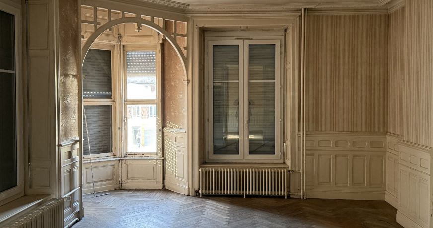 vente Immeuble L'isle Sur Le Doubs