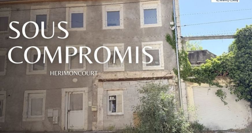 vente Immeuble Herimoncourt