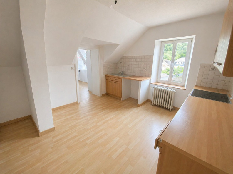 location Appartement Herimoncourt - Photo 3
