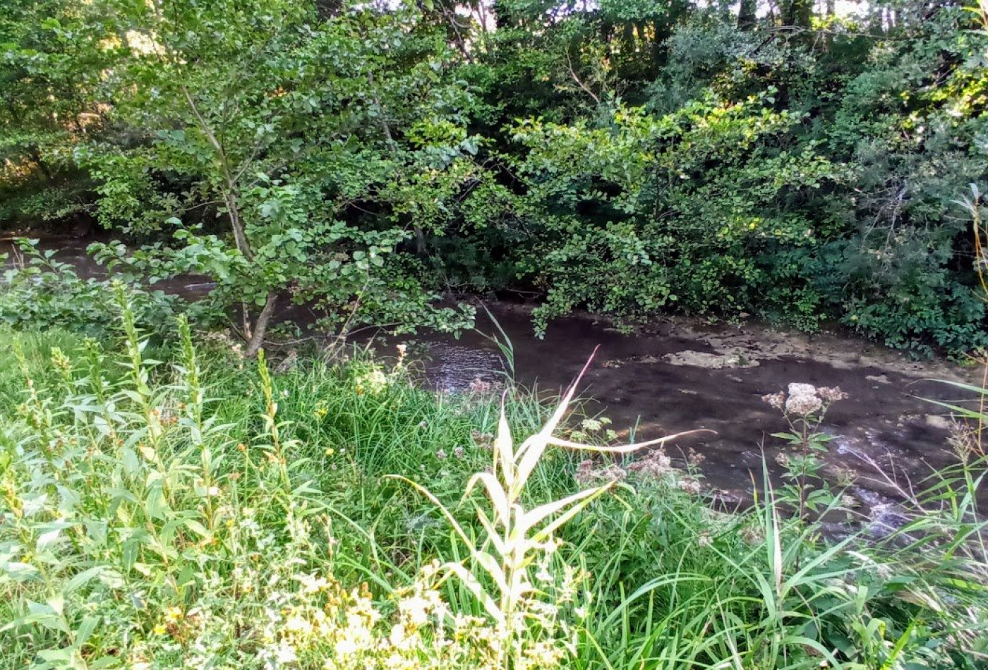 vente Villa Le Poet Laval - Photo 4