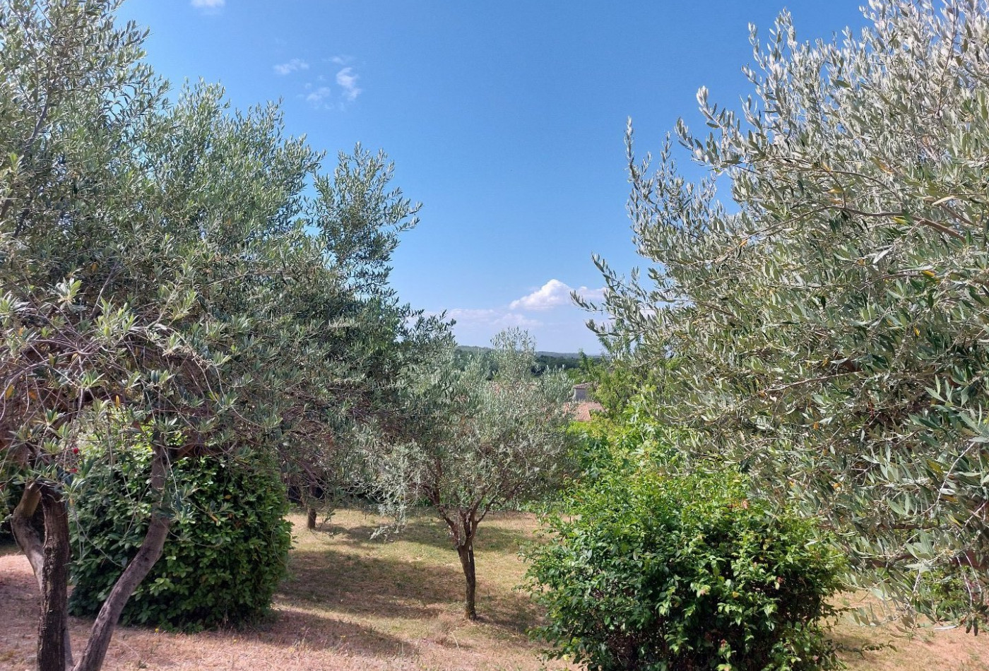 vente Villa Taulignan - Photo 5