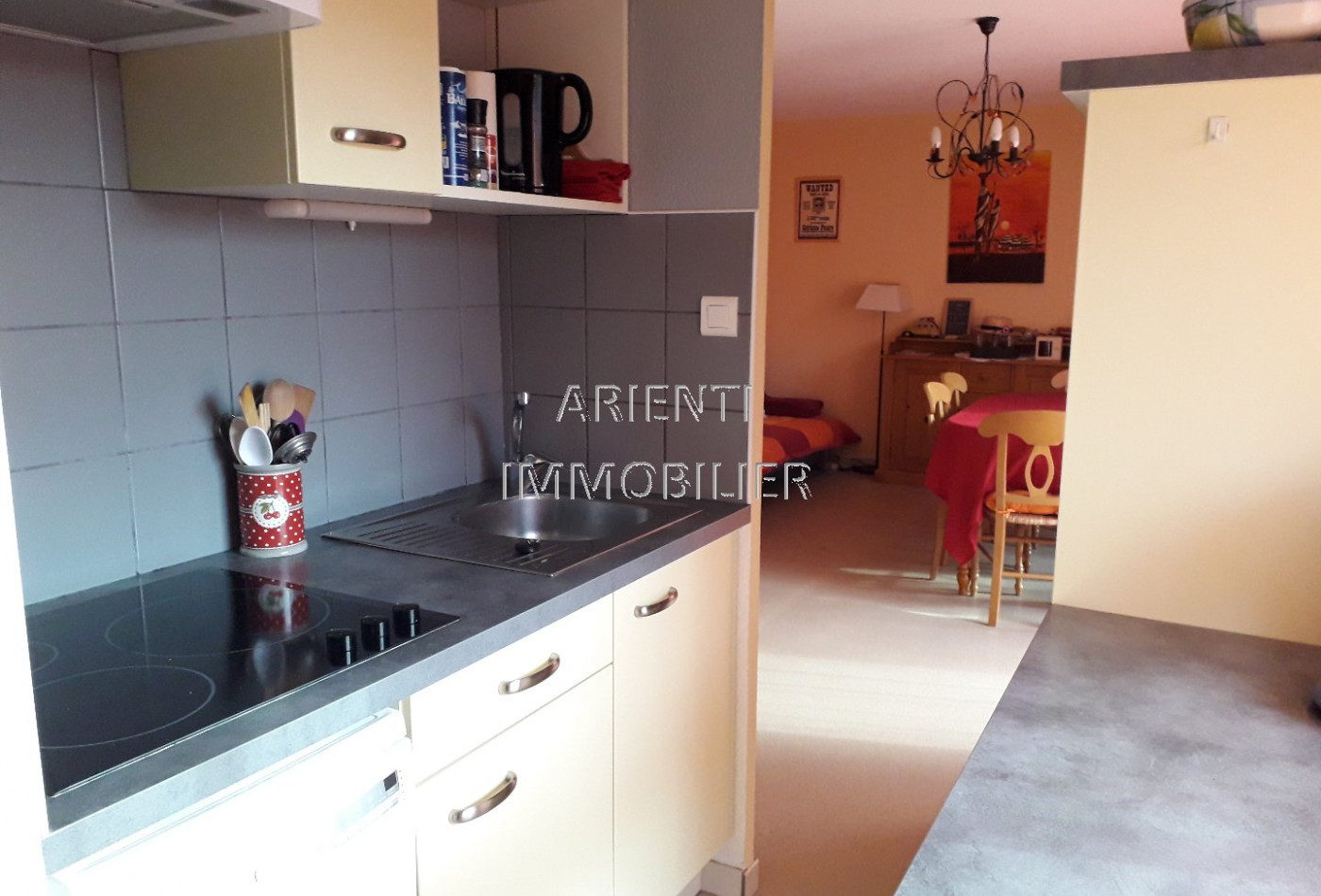 location Appartement Dieulefit - Photo 6