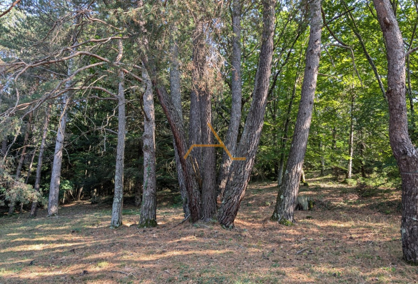 vente Villa Dieulefit - Photo 13