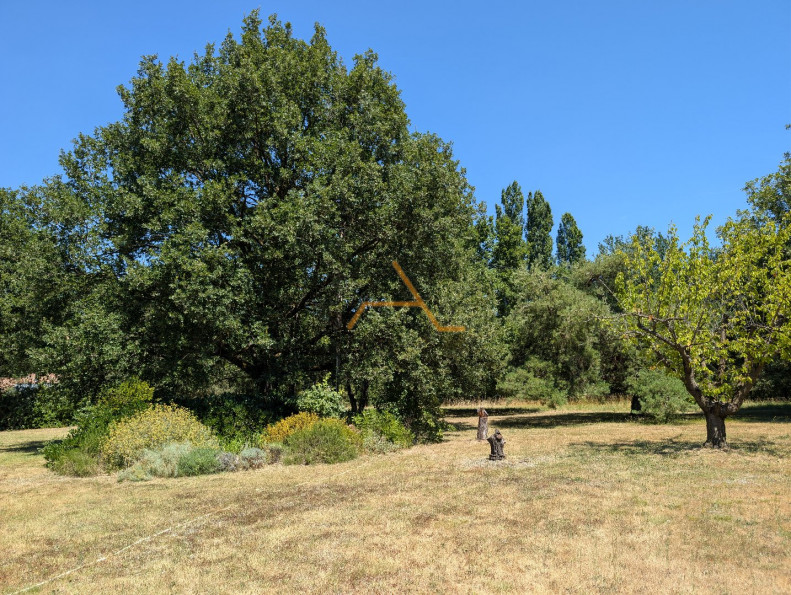 vente Maison en pierre Dieulefit - Photo 4