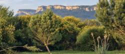 vente Maison en pierre La Begude De Mazenc