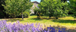 vente Maison en pierre La Begude De Mazenc