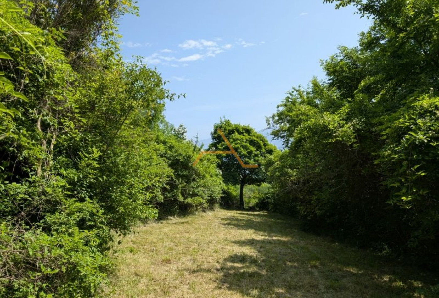 vente Mas Bourdeaux - Photo 6