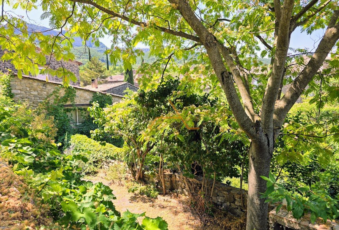 vente Maison de village Rochebaudin - Photo 3