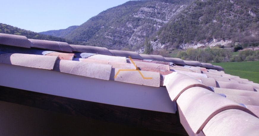 vente Immeuble Montjoux